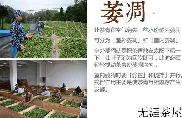 萎凋是什么意思