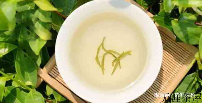 中国名茶碧螺春有哪些特点