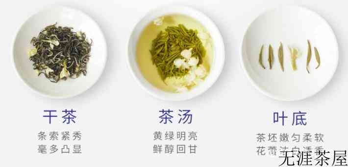 碧潭飘雪是什么茶，怎么样