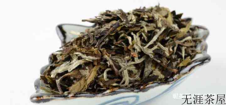 秋天喝什么茶好，秋季养生专题
