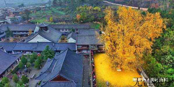 秋天喝什么茶好，秋季养生专题