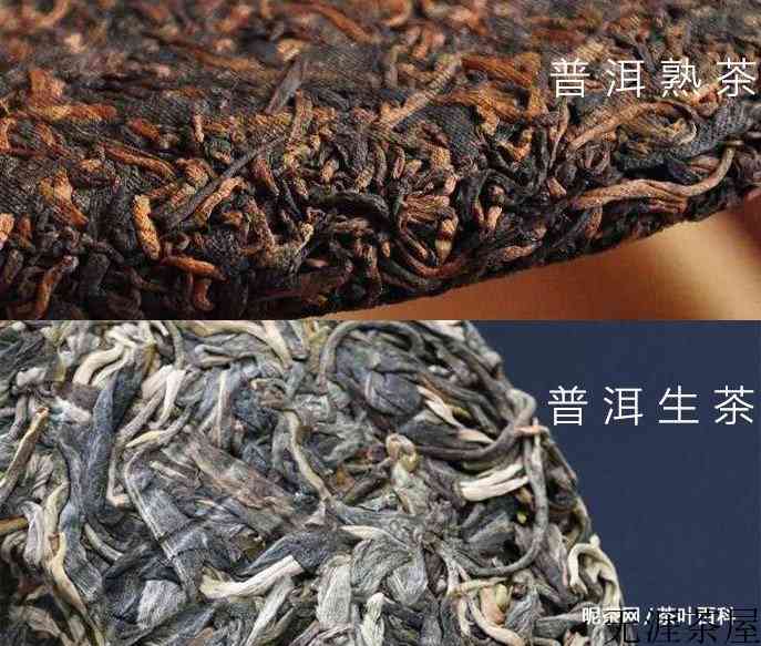 普洱生茶和熟茶的区别是什么