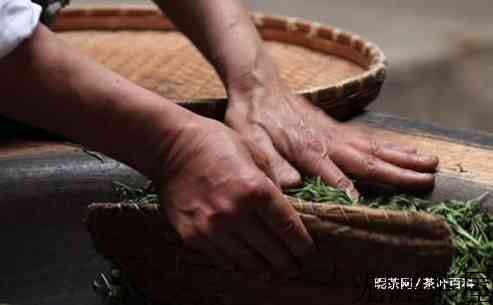 绿茶的发酵程度