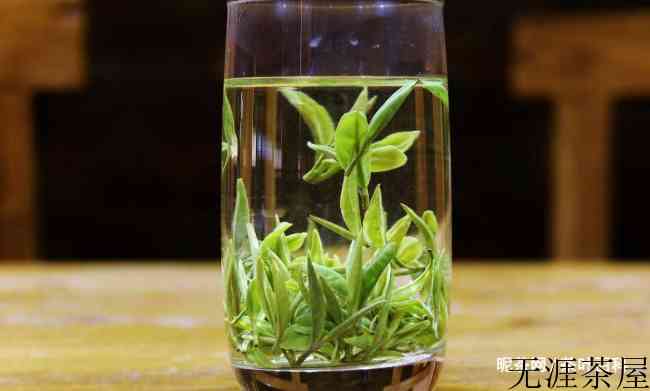 日照绿茶怎么样