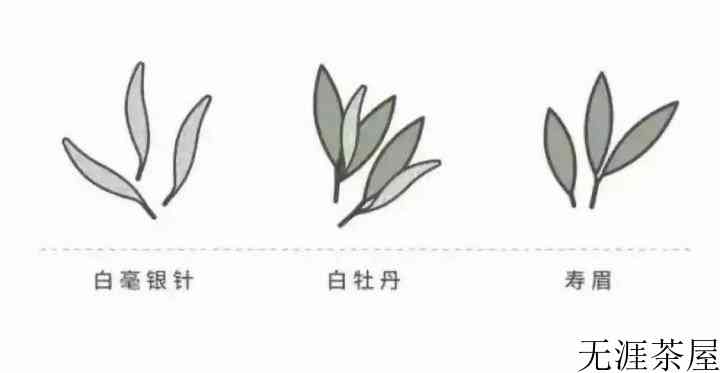 白茶饼能存多久