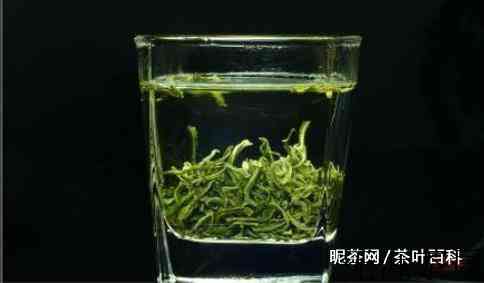 紫阳毛尖的冲泡方法