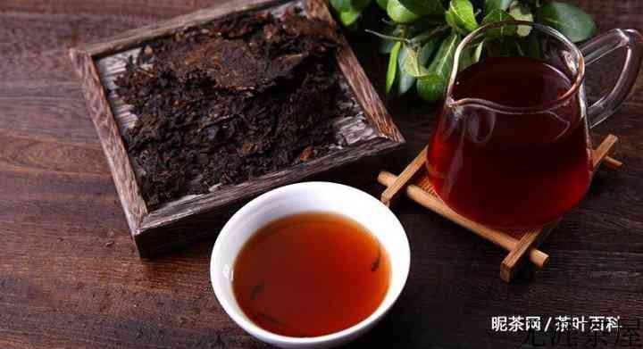 怎样品鉴普洱熟茶