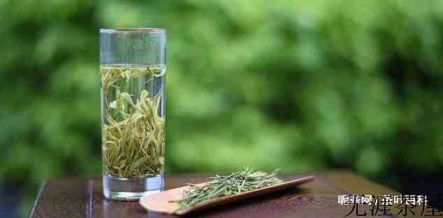 庐山云雾茶怎么泡