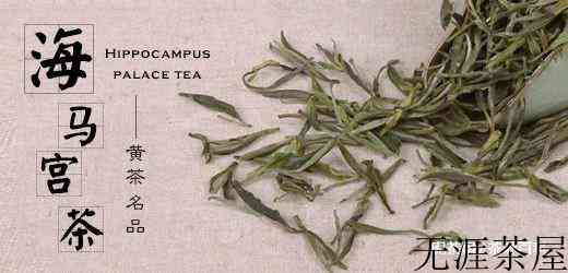 海马宫茶属于什么茶
