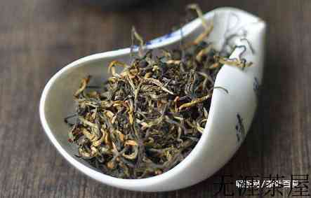 英红九号是什么茶