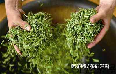 乌龙茶的制作工艺流程