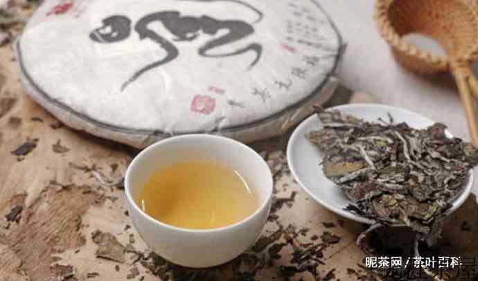 白茶春茶和秋茶的区别