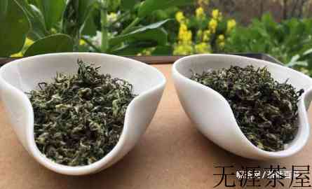 如何冲泡碧螺春