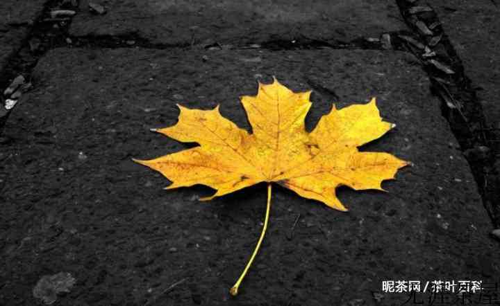 秋分养生吃什么食物好