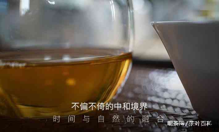 普洱生茶放多久比较好喝