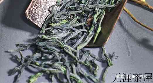 全是芽头的茶叶就是最好的吗？