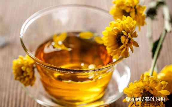 办公室女性喝什么茶好