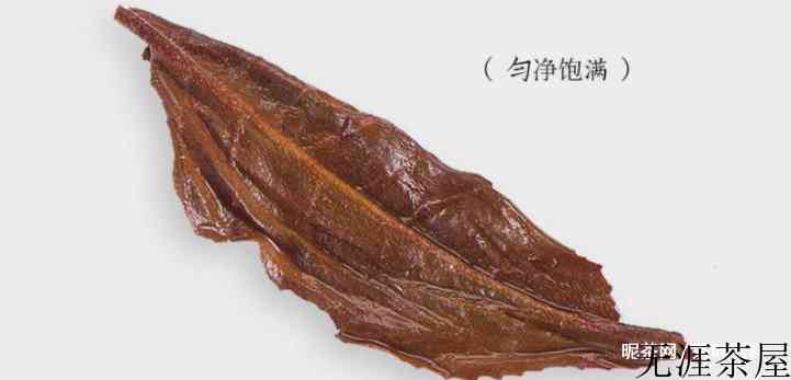 英红九号红茶有哪些品牌？