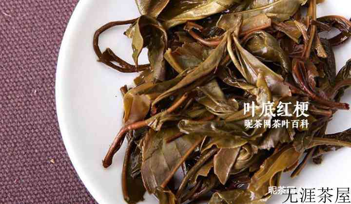 普洱茶叶底有红梗是怎么回事