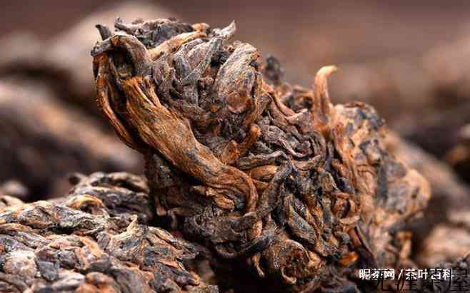 老茶头怎么泡，冲泡时需要注意什么
