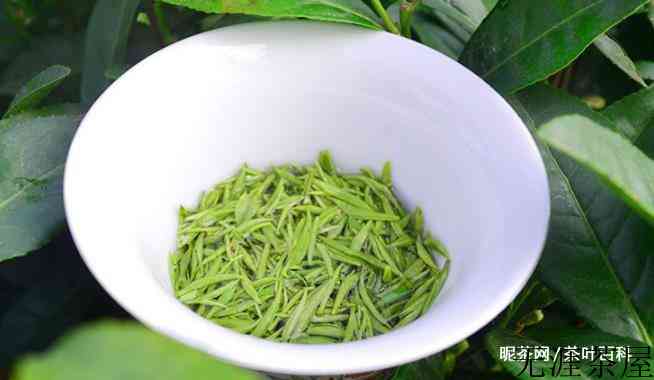 茶叶有哪些品种，各省名茶目录