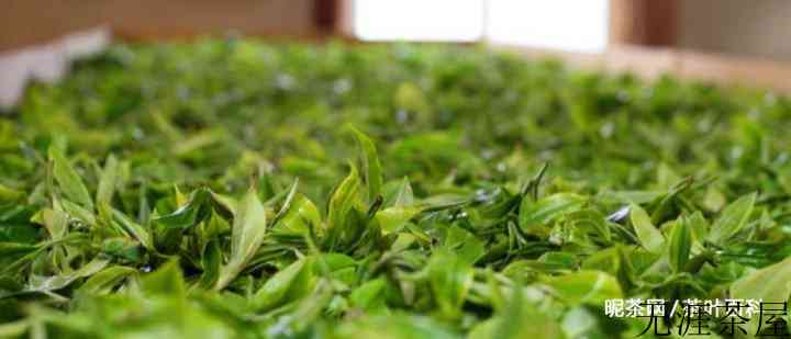 大红袍茶的制作工艺流程