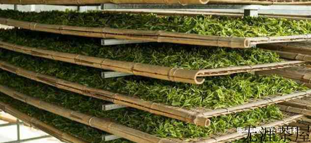 大红袍茶的制作工艺流程