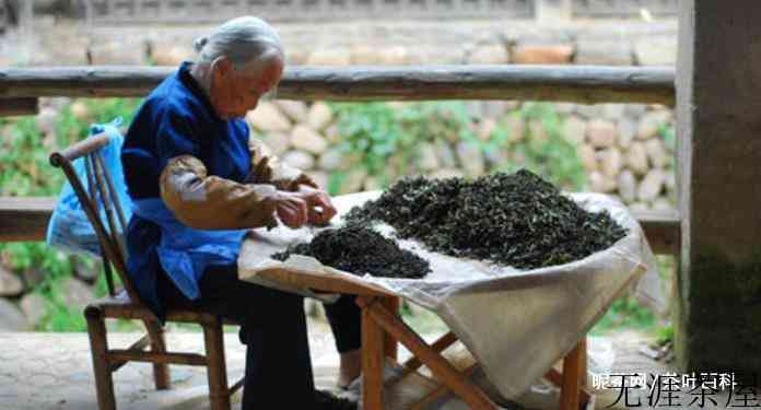 碧螺春的制作工艺图片