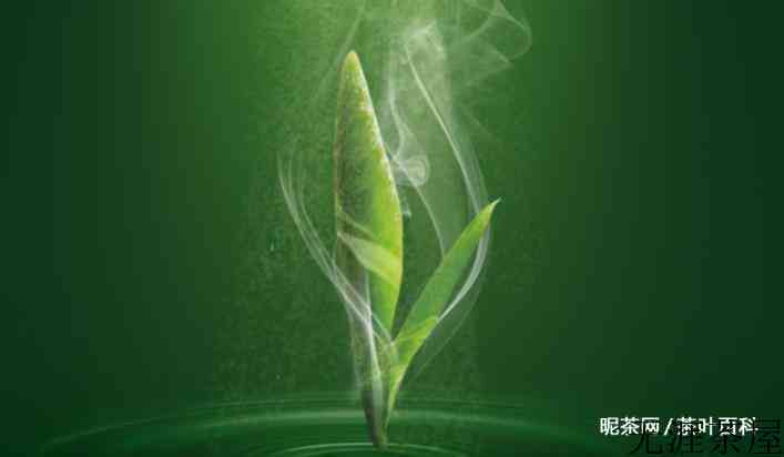冲泡茶叶温度多少最好，泡茶的水温怎么选择？