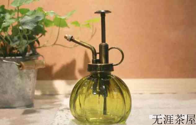 茶叶可以当肥料养花吗