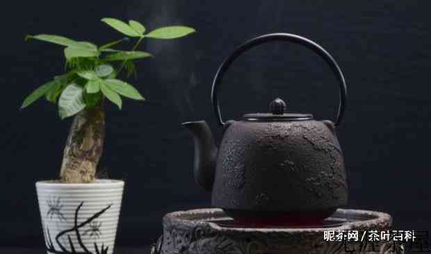 茶水可以浇花吗，茶水妙用
