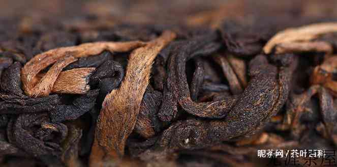 熟普洱茶总是有一种怪味，什么情况