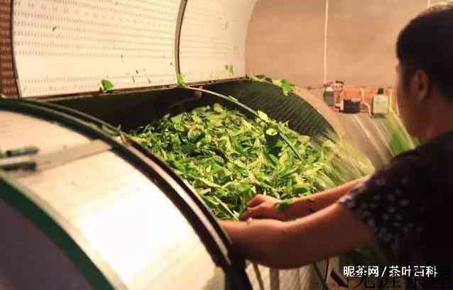 武夷岩茶的制作工艺以及流程