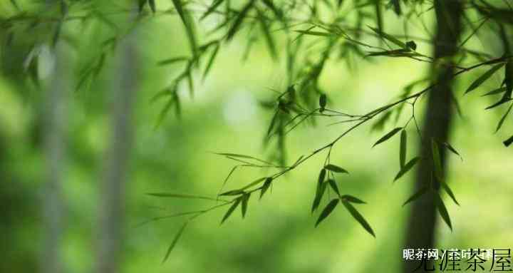 人走茶凉物是人非，人走茶凉的心情只有自己懂
