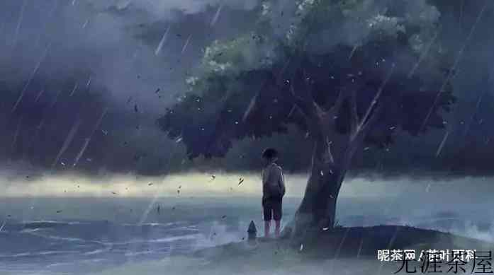 善良的人总会被温柔以待