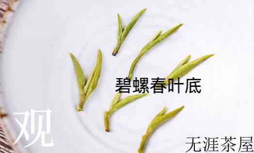 碧螺春和龙井的区别是什么