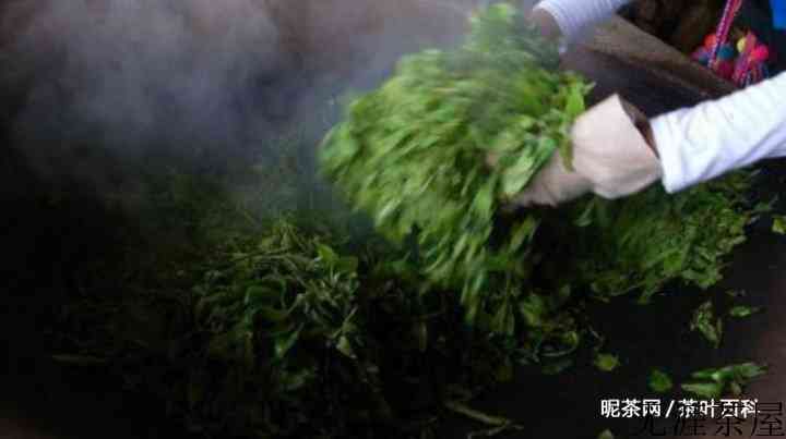 六堡茶和普洱茶的区别有哪些