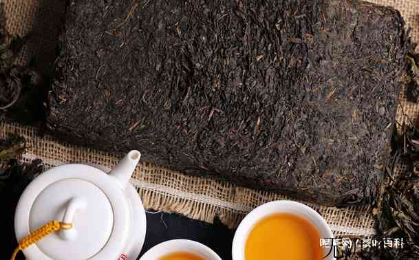肠胃不好的人适合喝什么茶