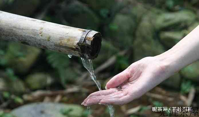 什么水泡茶好喝一些