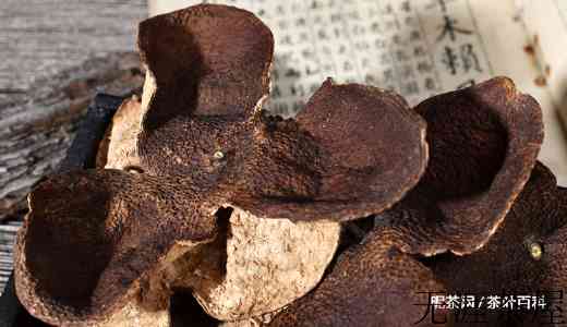 陈皮对老年人有什么作用