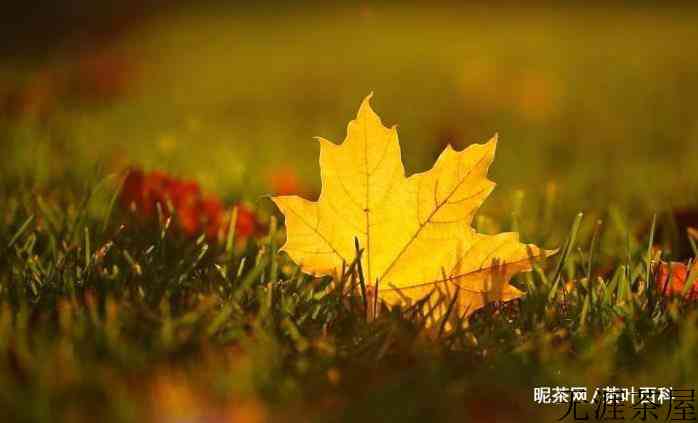 秋燥有哪些症状，表现是什么