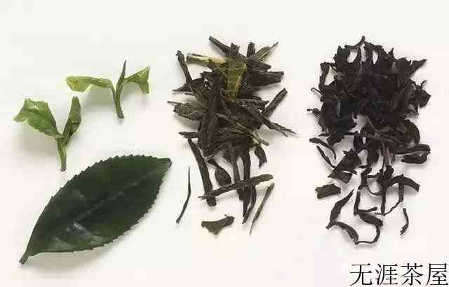 茶叶有梗还是好茶吗