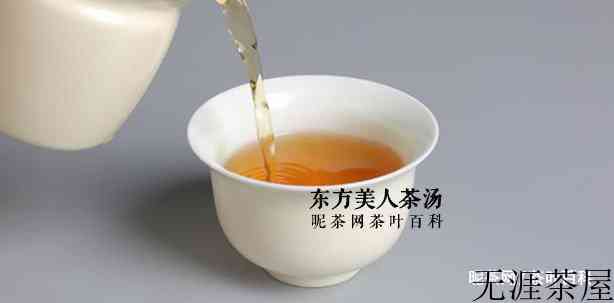 台湾都有什么茶叶，台湾乌龙茶的品种介绍