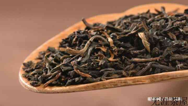 普洱茶怎么泡才好喝，普洱茶的冲泡方法