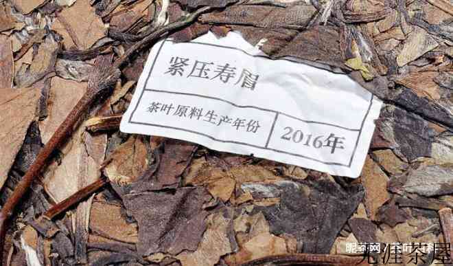 女人喝白茶的功效与作用