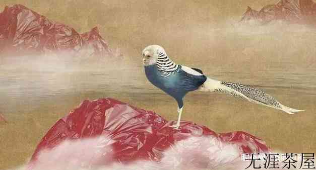 永远不要活在别人的世界里