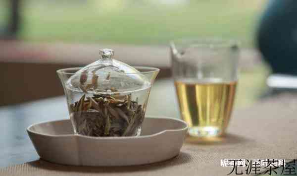 白茶什么季节的最好，白茶的季节特点