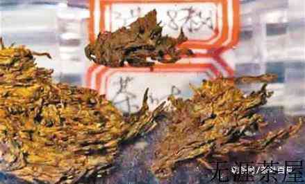 陕西汉阳陵出土的茶叶
