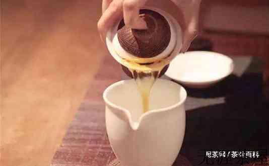 洗茶有必要吗