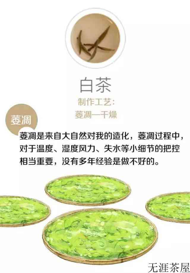茶叶是怎么制作出来的
